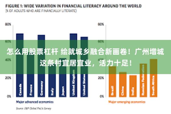 怎么用股票杠杆 绘就城乡融合新画卷！广州增城这条村宜居宜业，活力十足！