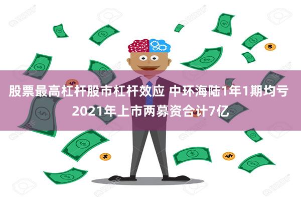 股票最高杠杆股市杠杆效应 中环海陆1年1期均亏 2021年上市两募资合计7亿