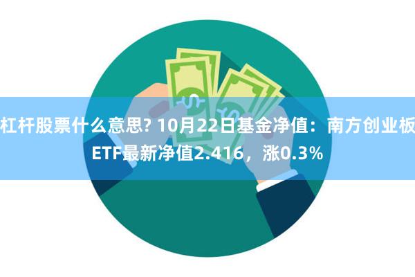 杠杆股票什么意思? 10月22日基金净值：南方创业板ETF最新净值2.416，涨0.3%