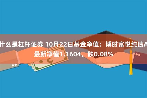 什么是杠杆证券 10月22日基金净值：博时富悦纯债A最新净值1.1604，跌0.08%