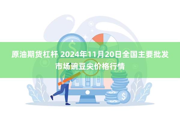 原油期货杠杆 2024年11月20日全国主要批发市场豌豆尖价格行情