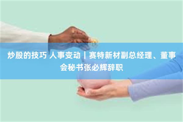 炒股的技巧 人事变动｜赛特新材副总经理、董事会秘书张必辉辞职