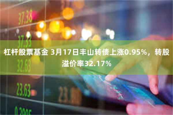 杠杆股票基金 3月17日丰山转债上涨0.95%，转股溢价率32.17%