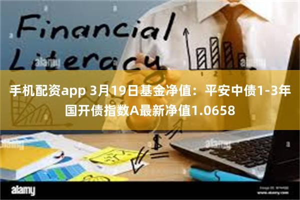 手机配资app 3月19日基金净值：平安中债1-3年国开债指数A最新净值1.0658