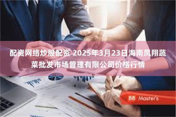 配资网络炒股配资 2025年3月23日海南凤翔蔬菜批发市场管理有限公司价格行情