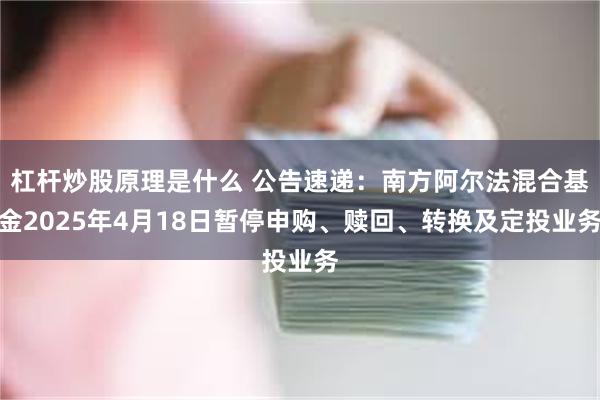 杠杆炒股原理是什么 公告速递：南方阿尔法混合基金2025年4月18日暂停申购、赎回、转换及定投业务