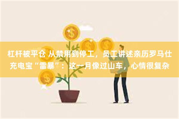 杠杆被平仓 从禁用到停工,员工讲述亲历罗马仕充电宝“雷暴”:这一月像过山车,心情很复杂